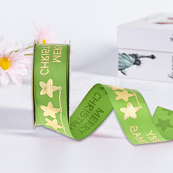 Polyester Ribbon&nbsp;SRIB-P018-B01