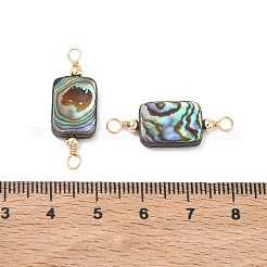 Natural Abalone Shell/Paua Shell Links Connector Charms&nbsp;PALLOY-JF05678