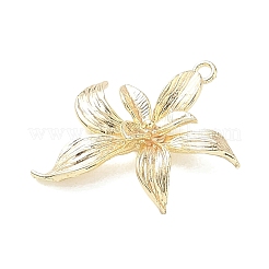 Brass Pendants&nbsp;KK-G601-05G-07