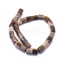 Natural Petrified Wood Beads Strands&nbsp;G-K293-J02-E