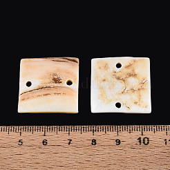 Natural Freshwater Shell Connector Charms&nbsp;SHEL-N038-14