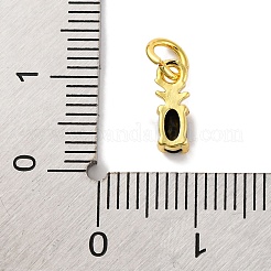 Rack Plating Brass Micro Pave Cubic Zirconia Charms&nbsp;KK-F881-03G-01