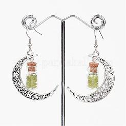 Glass Bottle with Natural & Synthetic Mixed Stone Inside Dangle Earrings&nbsp;EJEW-JE02052