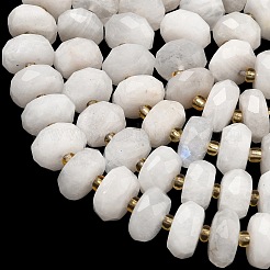 Natural Rainbow Moonstone Beads Strands&nbsp;G-L642-J06-01