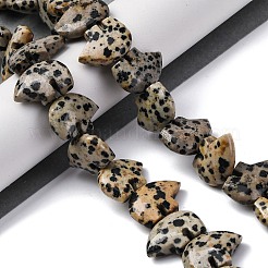 Natural Dalmatian Jasper Beads Strands&nbsp;G-F783-G06-01