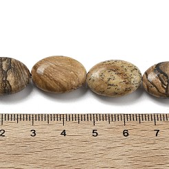 Natural Picture Jasper Beads Strands&nbsp;G-P528-M28-01