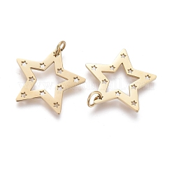Ion Plating(IP) 304 Stainless Steel Pendants&nbsp;STAS-H100-27G