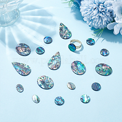 18Pcs 4 Styles Natural Paua Shell Cabochons&nbsp;SHEL-WR0001-10