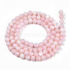 Natural Freshwater Shell Beads Strands&nbsp;SHEL-N003-24-B09