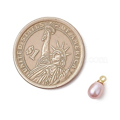 Natural Cultured Freshwater Pearl Rice Charms&nbsp;PALLOY-JF05124