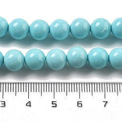 Synthetic Turquoise Beads Strands&nbsp;G-A255-A04-01B