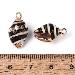 Electroplated Natural Shell Pendants&nbsp;BSHE-T015-02