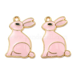 Alloy Pendants&nbsp;ENAM-L042-03G-05