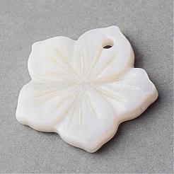 Sea Shell Pendants&nbsp;SSHEL-Q296-15