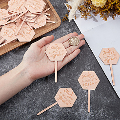 30Pcs Wooden Plant Labels&nbsp;DIY-GF0014-19B