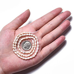 Natural Cultured Freshwater Pearl Beads Strands&nbsp;LS-PEAR-N012-03C