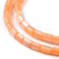 Natural Trochus Shell Beads Strands&nbsp;SSHEL-H070-01F
