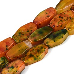 Natural Multi-Color Agate Beads Strands&nbsp;G-Q606-73