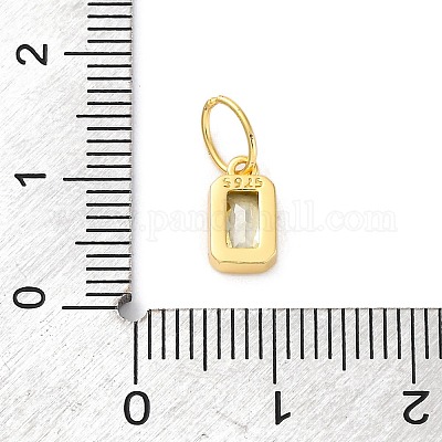 925 Sterling Silver Cubic Zirconia Charms&nbsp;STER-NH0014-01G-08-1