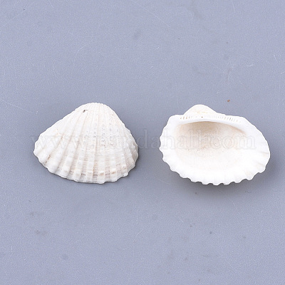 Clam Shell Pendants&nbsp;SSHEL-S258-60-1