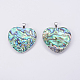 Abalone Shell/Paua Shell Pendants&nbsp;SSHEL-L008-30P-2
