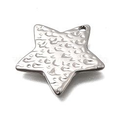 304 Stainless Steel Pendants&nbsp;STAS-Z163-01P-01