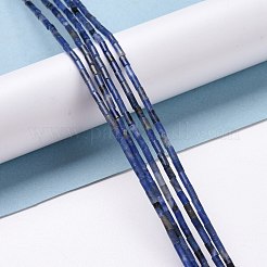 Natural Sodalite Beads Strands&nbsp;G-M389-11