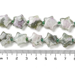 Natural Peace Jade Beads Strands&nbsp;G-NH0005-001