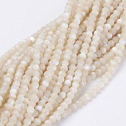 Natural Shell Beads Strands&nbsp;G-E354-03