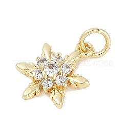 Rack Plating Brass Micro Pave Cubic Zirconia Pendants&nbsp;LS-KK-H509-12G-02
