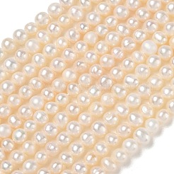 Natural Cultured Freshwater Pearl Beads Strands&nbsp;PA-CBAC463-38