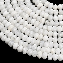 Natural Rainbow Moonstone Beads Strands&nbsp;G-C280-A10-02