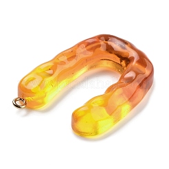 Resin Pendant&nbsp;FIND-Q107-01U-01