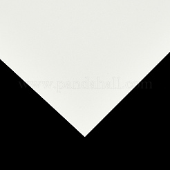 Luminous Photo Paper&nbsp;AJEW-N001-12
