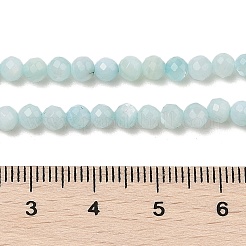Natural Freshwater Shell Dyed Beads Strands&nbsp;SHEL-R100-12A-02