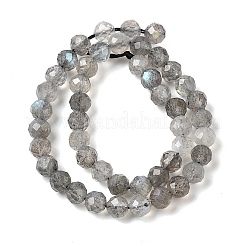 Natural Labradorite Beads Strands&nbsp;G-H336-A08-05