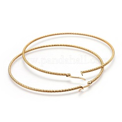 304 Stainless Steel Big Hoop Earrings&nbsp;EJEW-F188-24G-F
