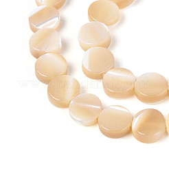 Natural Trochid Shell/Trochus Shell Beads Strands&nbsp;SSHEL-N041-03