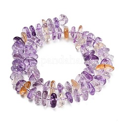 Natural Ametrine Beads Strands&nbsp;G-Z124-A02-01