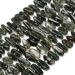Natural Green Rutilated Quartz Beads Strands&nbsp;G-Z124-B02-01