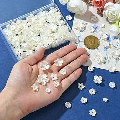 12 Styles ABS Plastic Imitation Pearl & Resin Bead Caps&nbsp;DIY-CJ0002-40