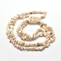 Magnesite Chip Bead Strands&nbsp;G-M205-75