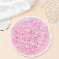 300Pcs Frosted Acrylic Beads&nbsp;OACR-PA0001-71B