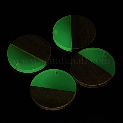 Luminous Glow in the Dark Wood & Resin Pendant&nbsp;WOOD-H104-05