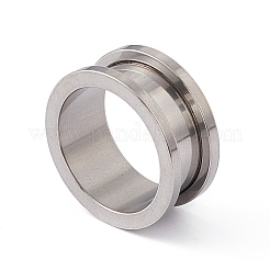 Non-Tarnish 304 Stainless Steel Ear Plugs Gauges&nbsp;LS-EJEW-G317-01N-P