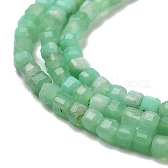 Natural Chrysoprase Beads Strands&nbsp;G-B088-E19-02