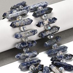 Natural Blue Spot Jasper Double Terminated Point Beads Strands&nbsp;G-H069-B10-01
