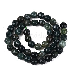 Natural Moss Agate Beads Strands&nbsp;G-Q606-42A-01
