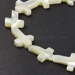 Natural Trochid Shell/Trochus Shell Beads Strands&nbsp;SSHEL-K027-06