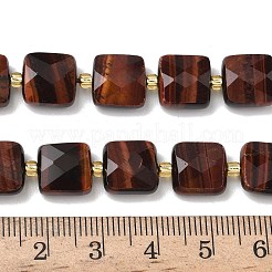 Natural Tiger Eye Beads Strands&nbsp;G-L642-L03-10mm-01